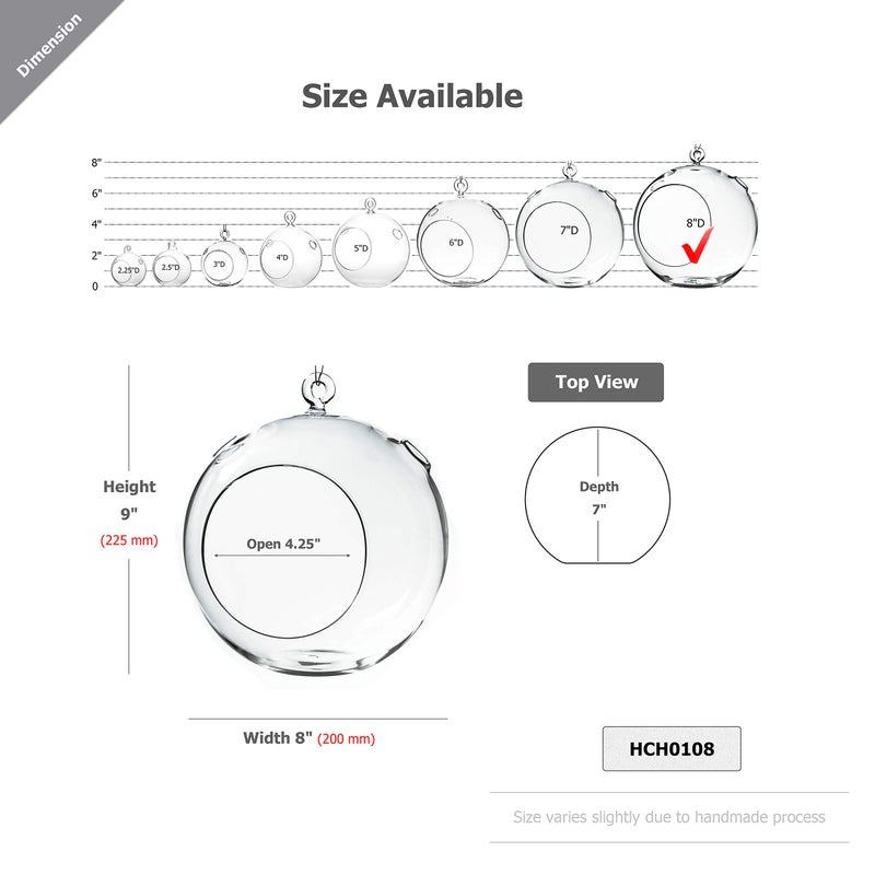 WGVI WGV Hanging Terrarium Globe, Width 8", Height 9", DIY Air Succulent Planter, Clear Glass Vase Orb with Flat Bottom, Candle Holder for Windowsill Outdoor Garden Decor, 1 Piece - Image 2